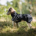 Waterproof Universal Poncho