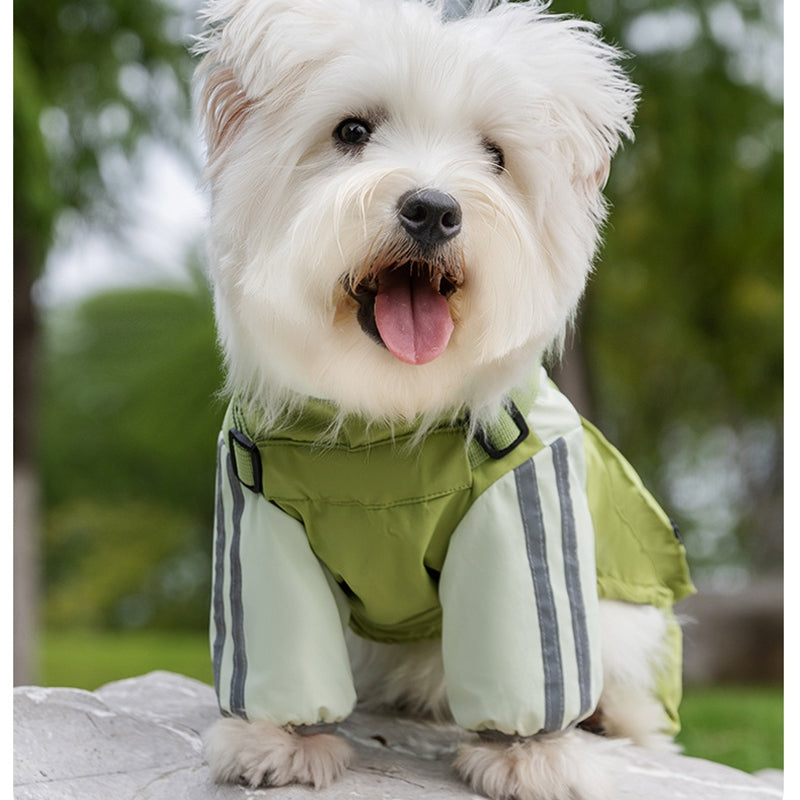 Windproof, Waterproof Raincoat