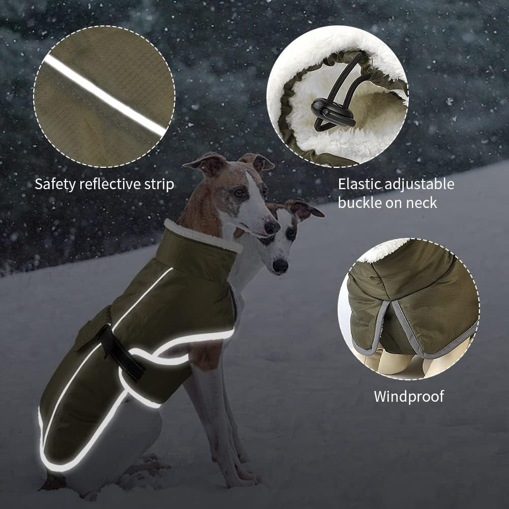 Waterproof Cold-proof Cotton Coat