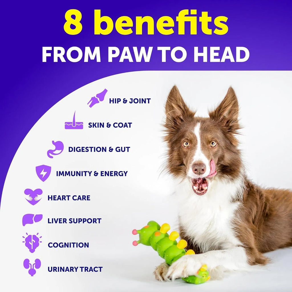 Dog Multivitamin Chewable