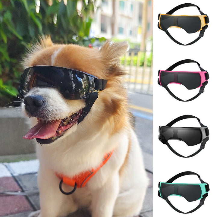 Goggles UV Proof