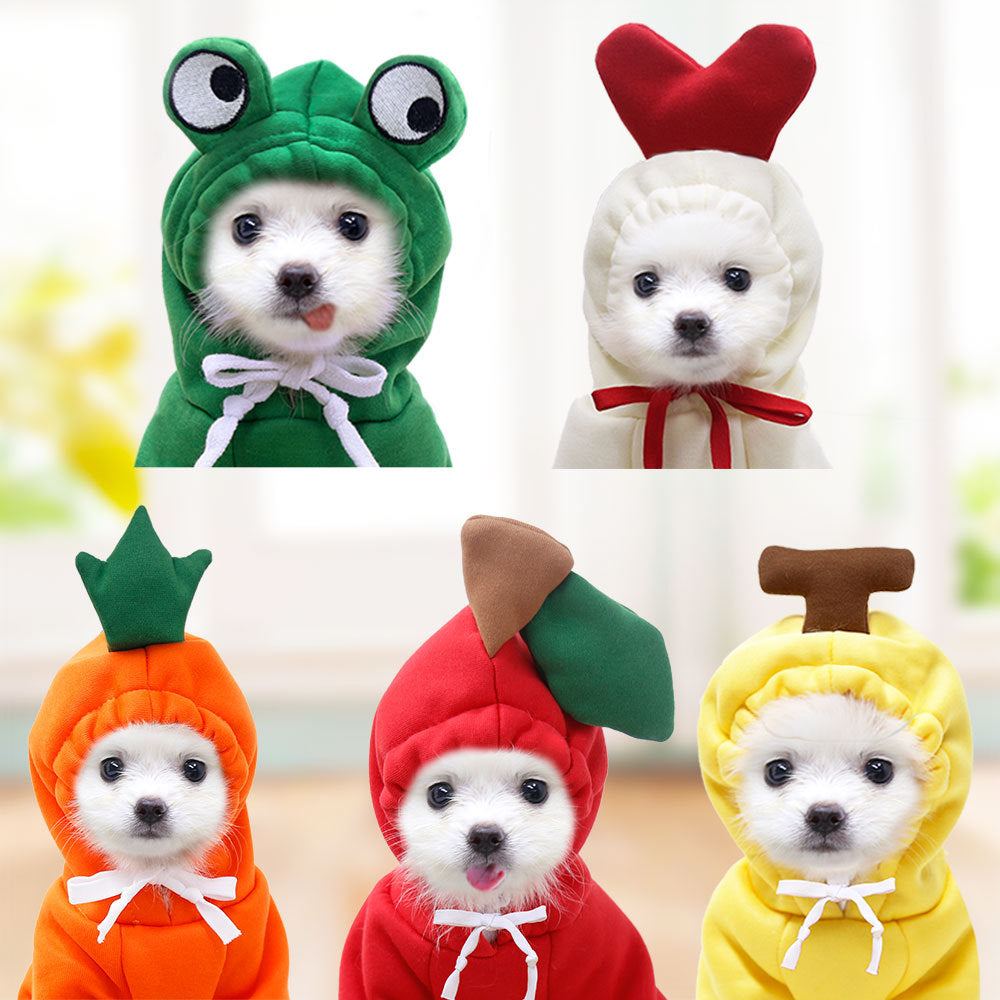 Fruit Costumes