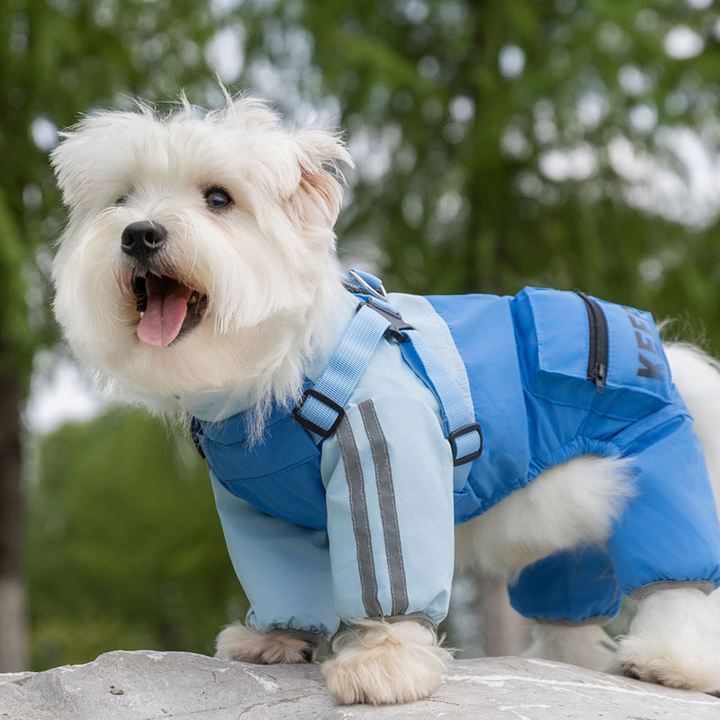 Windproof, Waterproof Raincoat