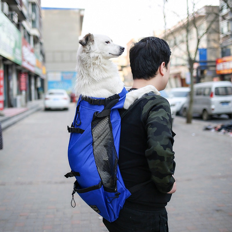Dog Backpack