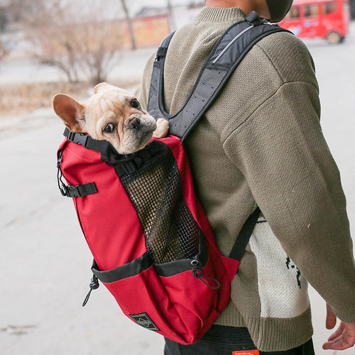 Dog Backpack