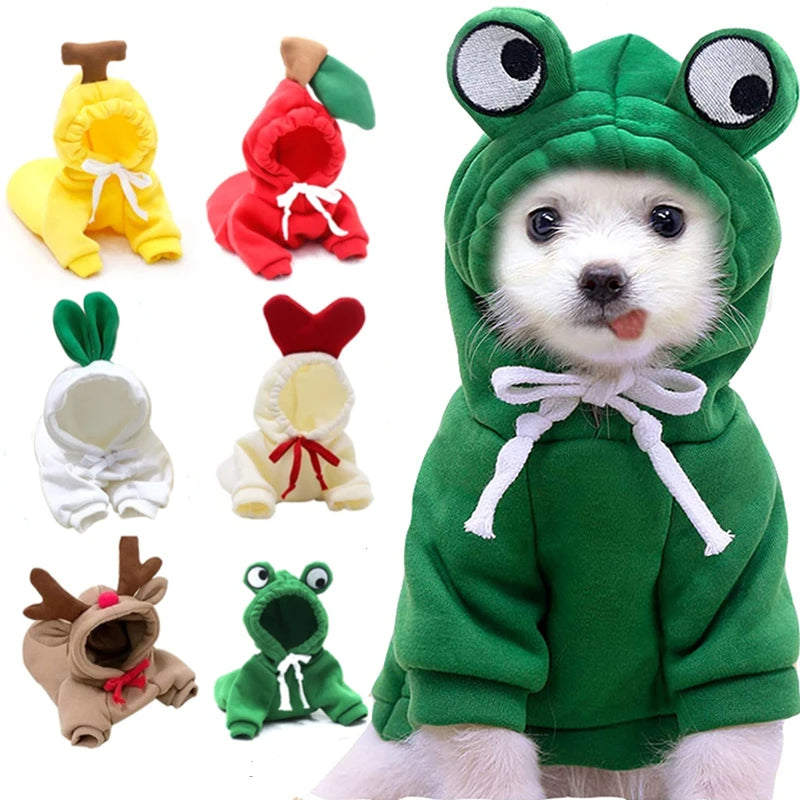 Fruit Costumes