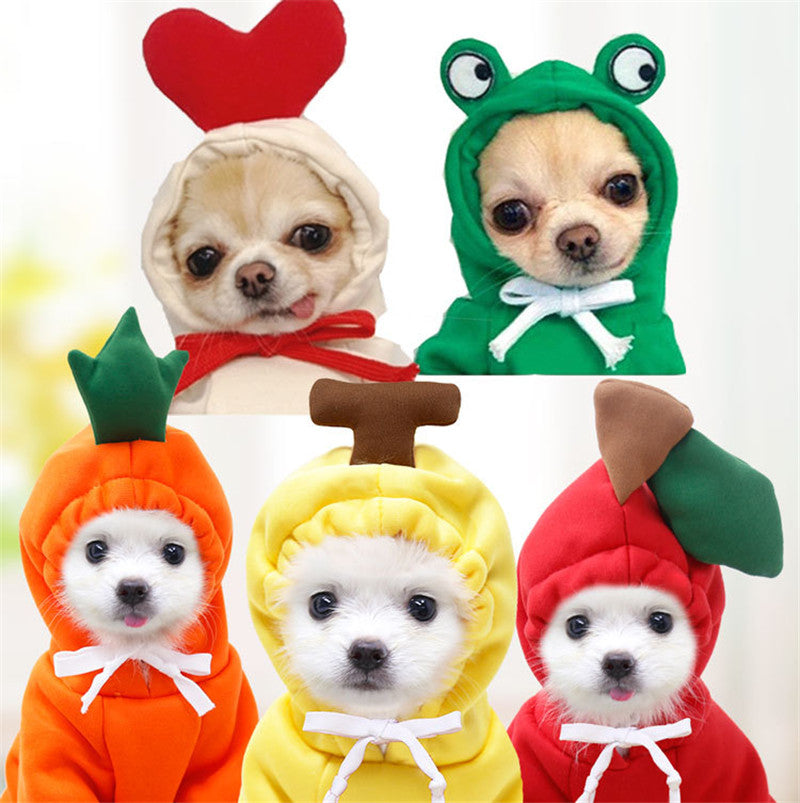 Fruit Costumes