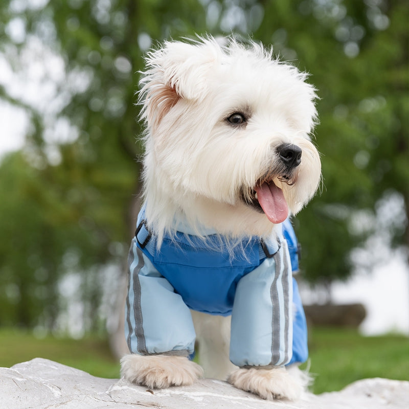 Windproof, Waterproof Raincoat