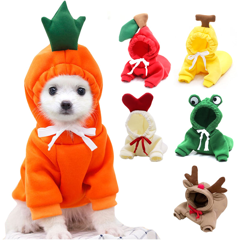 Fruit Costumes