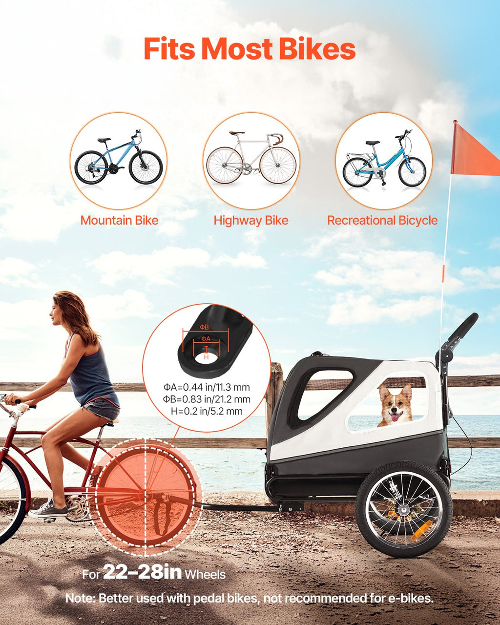 Dog Bike Trailer